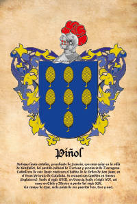 Escudo heráldico del apellido PIÑOL