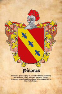 Escudo heráldico del apellido PINONES