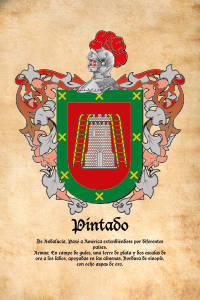 Escudo heráldico del apellido PINTADO