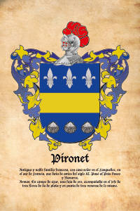 Escudo heráldico del apellido PIRONET