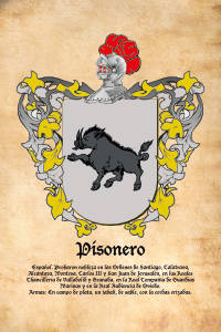 Escudo heráldico del apellido PISONERO