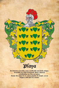 Escudo heráldico del apellido PLAYA