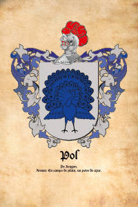 Escudo heráldico del apellido POL
