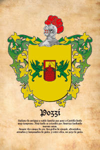 Escudo heráldico del apellido POZZI