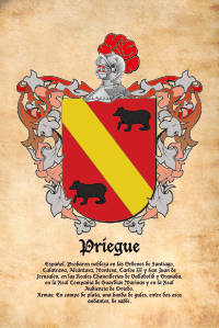 Escudo heráldico del apellido PRIEGUE