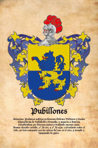 Escudo heráldico del apellido PUBILLONES