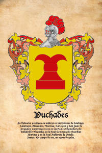 Escudo heráldico del apellido PUCHADES