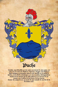 Escudo heráldico del apellido PUCHE