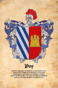 Escudo heráldico del apellido PUY