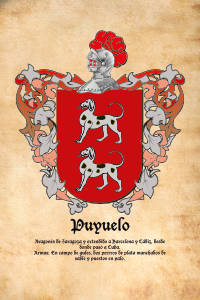 Escudo heráldico del apellido PUYUELO