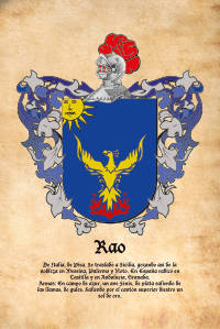 Escudo heráldico del apellido RAO
