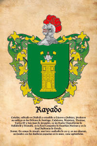 Escudo heráldico del apellido RAYADO
