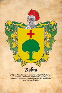 Escudo heráldico del apellido REDIN