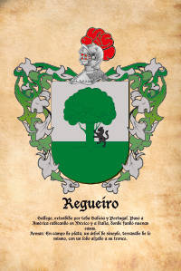 Escudo heráldico del apellido REGUEIRO