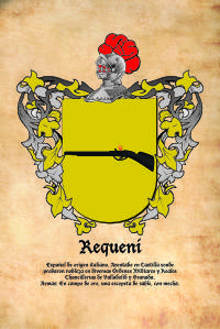 Escudo heráldico del apellido REQUENI