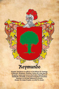 Escudo heráldico del apellido REYMUNDO