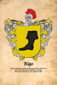 Escudo heráldico del apellido RIGO