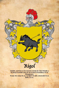 Escudo heráldico del apellido RIGOL