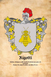 Escudo heráldico del apellido RIGOTTI
