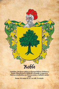 Escudo heráldico del apellido ROBLE