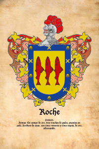 Escudo heráldico del apellido ROCHE