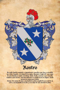Escudo heráldico del apellido ROSTRO