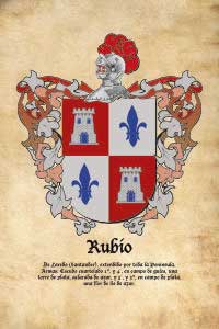 Escudo heráldico del apellido RUBIO