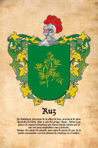 Escudo heráldico del apellido RUZ