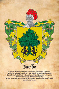 Escudo heráldico del apellido SACIDO