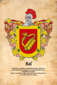 Escudo heráldico del apellido SAL