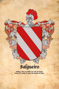 Escudo heráldico del apellido SALGUEIRO