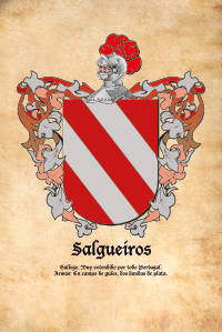 Escudo heráldico del apellido SALGUEIROS