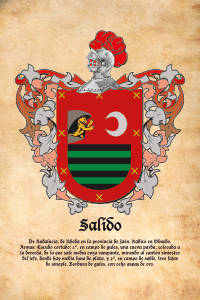 Escudo heráldico del apellido SALIDO
