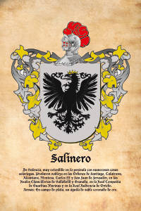Escudo heráldico del apellido SALINERO