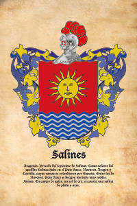 Escudo heráldico del apellido SALINES