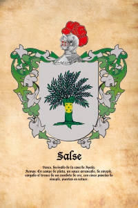 Escudo heráldico del apellido SALSE