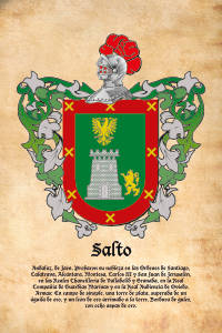 Escudo heráldico del apellido SALTO
