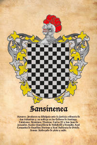 Escudo heráldico del apellido SANSINENEA