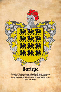 Escudo heráldico del apellido SARIEGO
