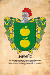 Escudo heráldico del apellido SAVALIA