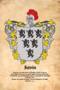 Escudo heráldico del apellido SAVIN