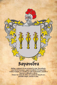 Escudo heráldico del apellido SAYAVEDRA