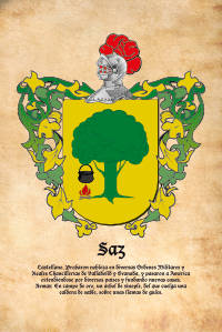 Escudo heráldico del apellido SAZ