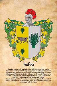 Escudo heráldico del apellido SELVA