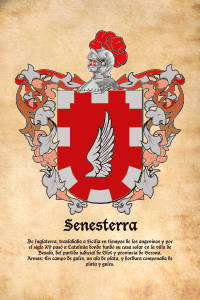 Escudo heráldico del apellido SENESTERRA
