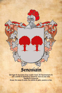 Escudo heráldico del apellido SENOSIAIN