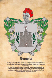 Escudo heráldico del apellido SEOANE