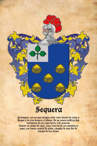 Escudo heráldico del apellido SEQUERA