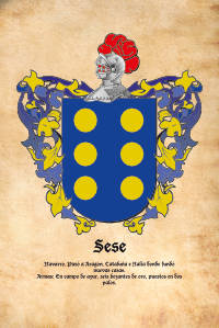 Escudo heráldico del apellido SESE