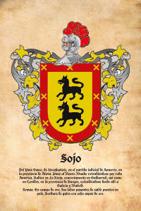 Escudo heráldico del apellido SOJO